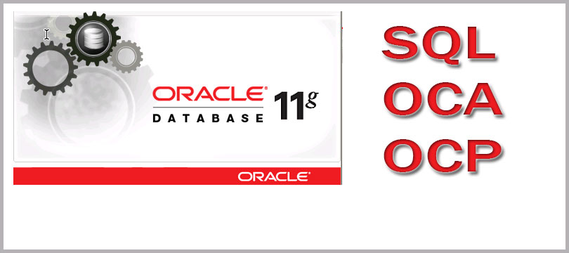 oracle 11g logo